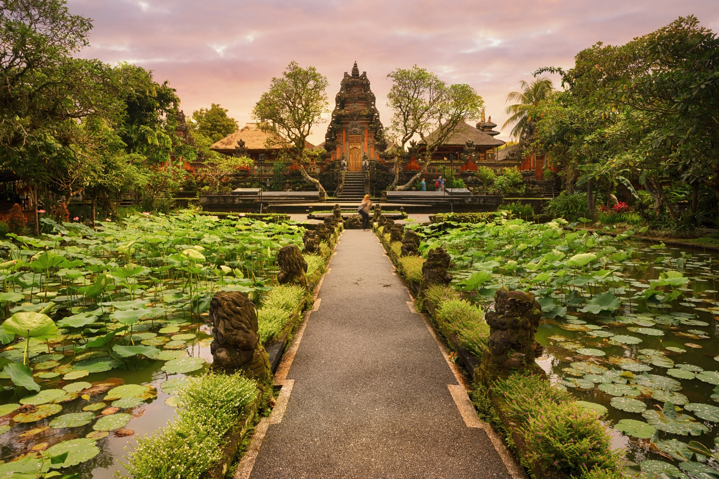 ubud (4).webp